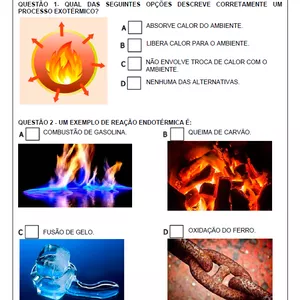 Imagem de capa para o Ebook Atividade Adaptada- Processo Exotérmico e Endotérmico