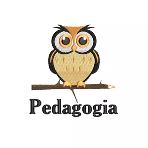 Imagem de capa para o Curso online Formação em Pedagogia
