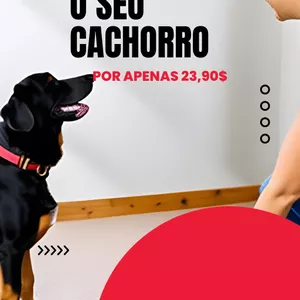 Imagem de capa para o Ebook Adestre seu cachorro em casa 