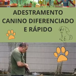 Imagem de capa para o Ebook ADESTRAMENTO CANINO DIFERENCIADO E RÁPIDO