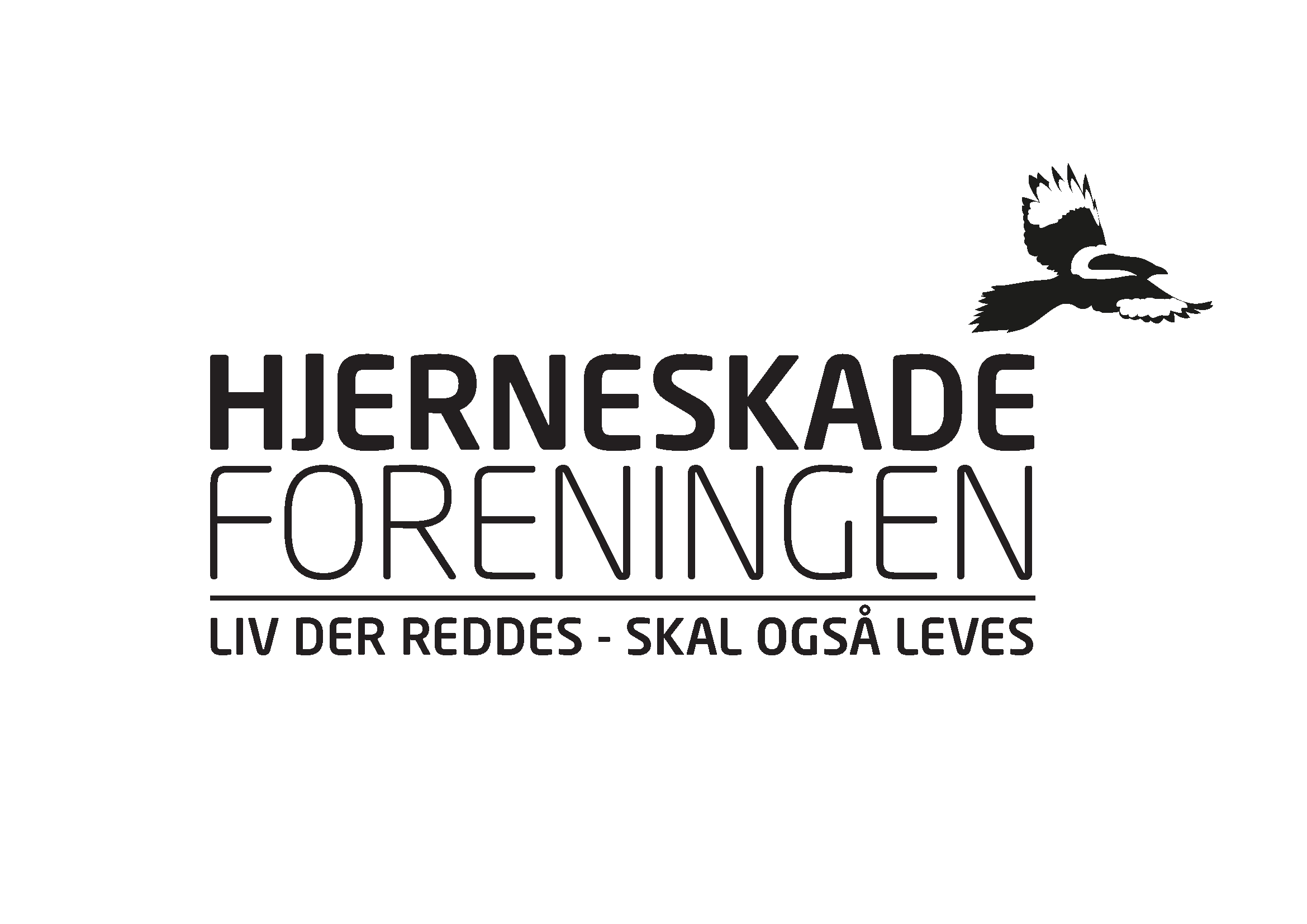 Hjerneskadeforeningen