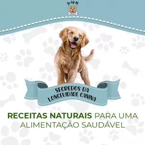Imagem de capa para o Ebook Segredos da Longevidade Canina