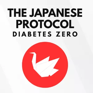 Cover image for Ebook Japanese Protocol