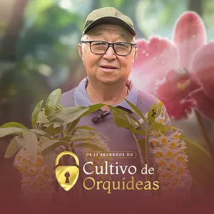 Imagem de capa para o Curso online Os 12 Segredos do Cultivo de Orquídeas