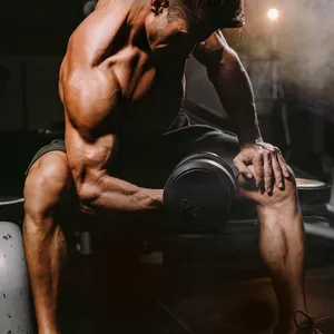 Imagem de capa para o Curso online Pacote Exclusivo de 278 GIFs de Musculação: Transforme Seu Treino!