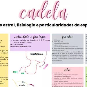 Imagem de capa para o Ebook MAPA MENTAL CICLO ESTRAL DA CADELA