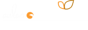 AULAS MINDFULNESS