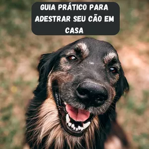 Imagem de capa para o Ebook Guia Prático para Adestrar Seu Cão em Casa