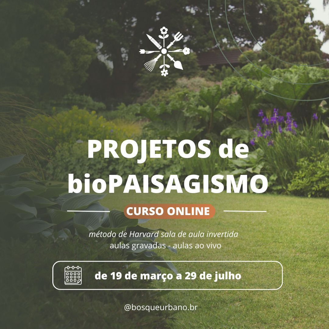 CURSO DE PROJETOS DE BIOPAISAGISMO VANESSA ZECHIN: ONDE COMPRAR, VALOR E FUNCIONA? Empresario Conectado
