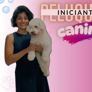 Imagen de portada para Curso online Peluqueria Canina para Iniciantes