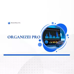 Imagem de capa para o Curso online Organizei Pro