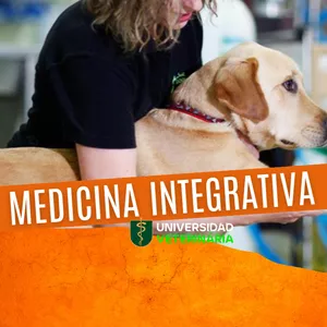 Imagen de portada para Curso online Curso Medicina Veterinaria Integrativa