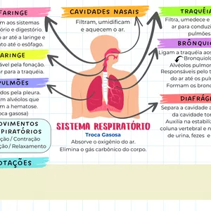 Imagem de capa para o Ebook MAPA MENTAL SIMPLIFICADO - SISTEMA RESPIRATÓRIO