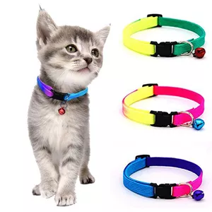 Imagen de portada para Curso online Collares para gatos