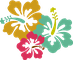 My Hawaii Academy