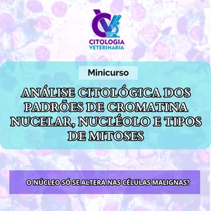 Imagem do curso Padrões de cromatina nuclear e avaliação de nucléolo e de figuras de mitose na análise citológica