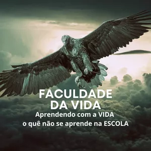 Imagem de capa para o Ebook FACULDADE DA VIDA - Aprendendo com a VIDA o quê não se aprende na ESCOLA