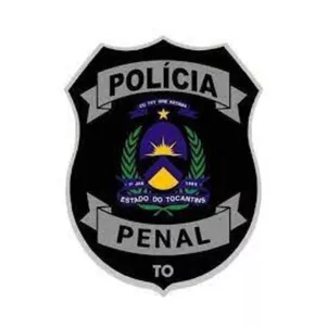 Imagem de capa para o Curso online Polícia Penal do Tocantins