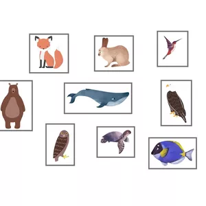 Imagem de capa para o Ebook Classificação animais ar, terra e água