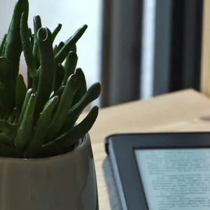 Imagem de capa para o Ebook Como Se Livrar Do Ciúmes Obsessivo 