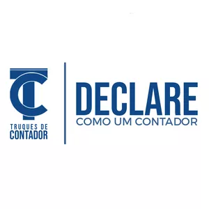 Imagem do curso Faça você mesmo a Declaração do Imposto de Renda - Declare como um Contador!