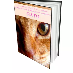 Imagem de capa para o Ebook As Melhores Brincadeiras e os Melhores Brinquedos Para Divertir e Gastar a Energia do Seu GATO
