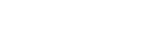 brandandbloomco logo