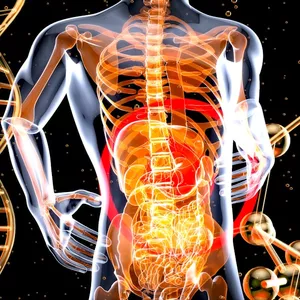 Imagen de portada para Ebook Salud intestinal: El poder de los productos fermentados