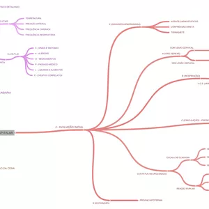 Imagem de capa para o Ebook Mapa Mental de Atendimento Pré-Hospitalar