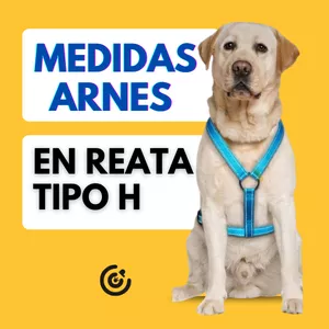 Imagen de portada para Ebook Medidas todas las tallas Arnés en Reata tipo H