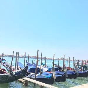 Imagen de portada para Curso online Postal Venecia 