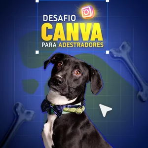 Imagem de capa para o Curso online Desafio Canva para Adestrador