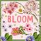 Bloom Art Experiences