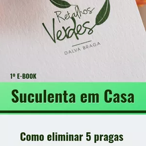 Imagem de capa para o Ebook Suculenta em Casa