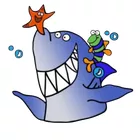 NoobSharks