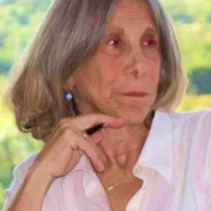 Imagem de capa para o Curso online Democracia e modernidade: As angústias de Eros, para assinantes