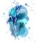 Fluidify Fascia & Wellness