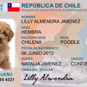 Imagen de portada para Ebook carnet de mascota