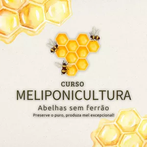 Imagem do curso Curso Meliponicultura Abelhas Sem Ferrão