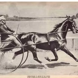 Imagem de capa para o Ebook Seja você o vencedor!