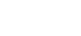 LiveFlow Academy logo