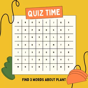 Cover image for Ebook QUIZ TIME
