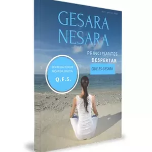Imagem de capa para o Ebook Gesara & Nesara - Recebimento de Ativos - QFS - Cisne Negro - Starlink