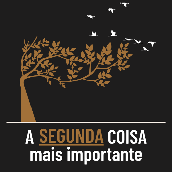 Imagem do curso A Segunda Coisa Mais Importante