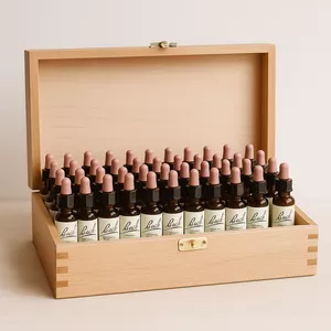 Imagen de portada para Curso online Introducción a Las Flores de Bach