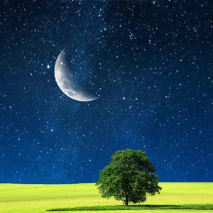 Imagem de capa para o Ebook O Despertar da Criação