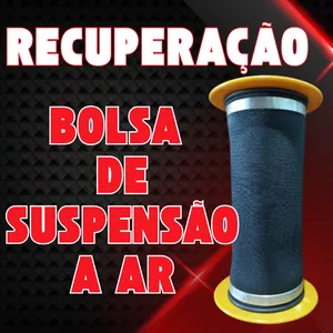 Imagem de capa para o Curso online Curso Recuperação de bolsa de suspensão a ar