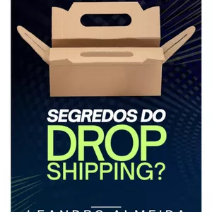 Imagem de capa para o Ebook Dropshipping nacional