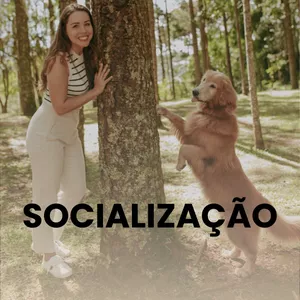 Imagem do curso SOCIALIZAÇÃO