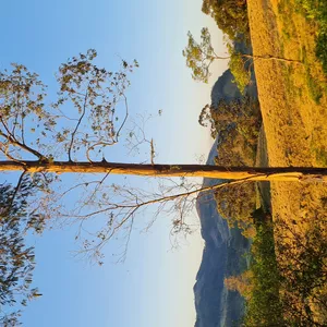 Imagem de capa para o Curso online Resiliencia_ela 